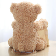 Load image into Gallery viewer, Peek a Boo TeddyBear™